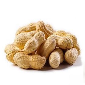 Sellomarket Fresh Groundnut